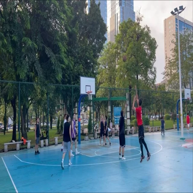 篮球季后赛走势解析：数据视角深度解读第121组